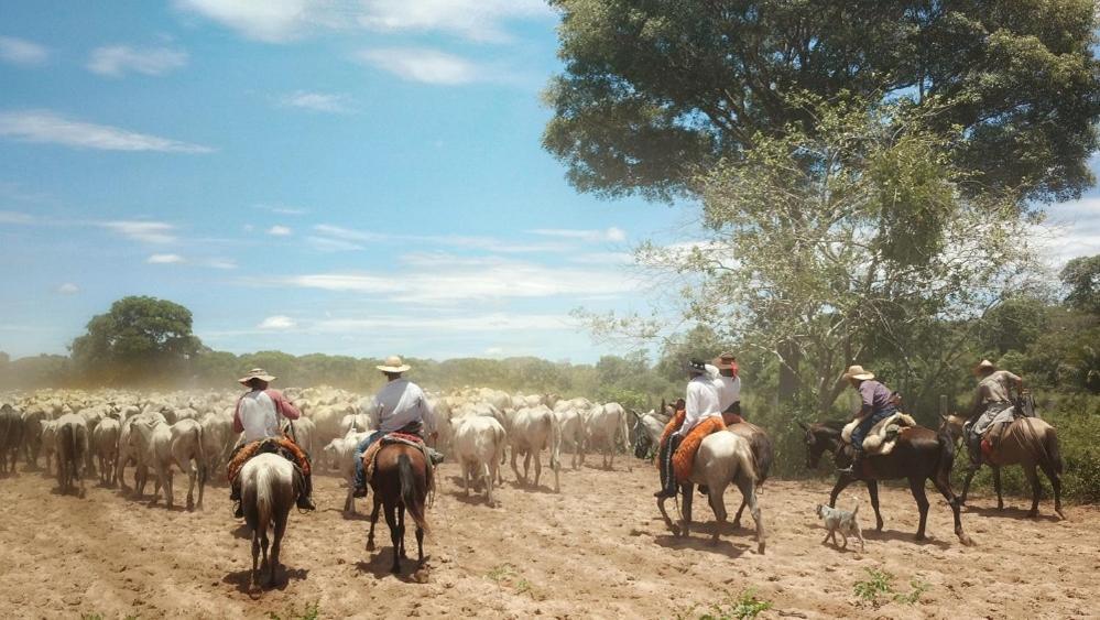 Pousada Fazenda Xaraes Todos os Santos 외부 사진