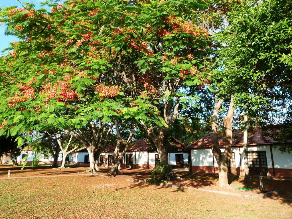 Pousada Fazenda Xaraes Todos os Santos 외부 사진