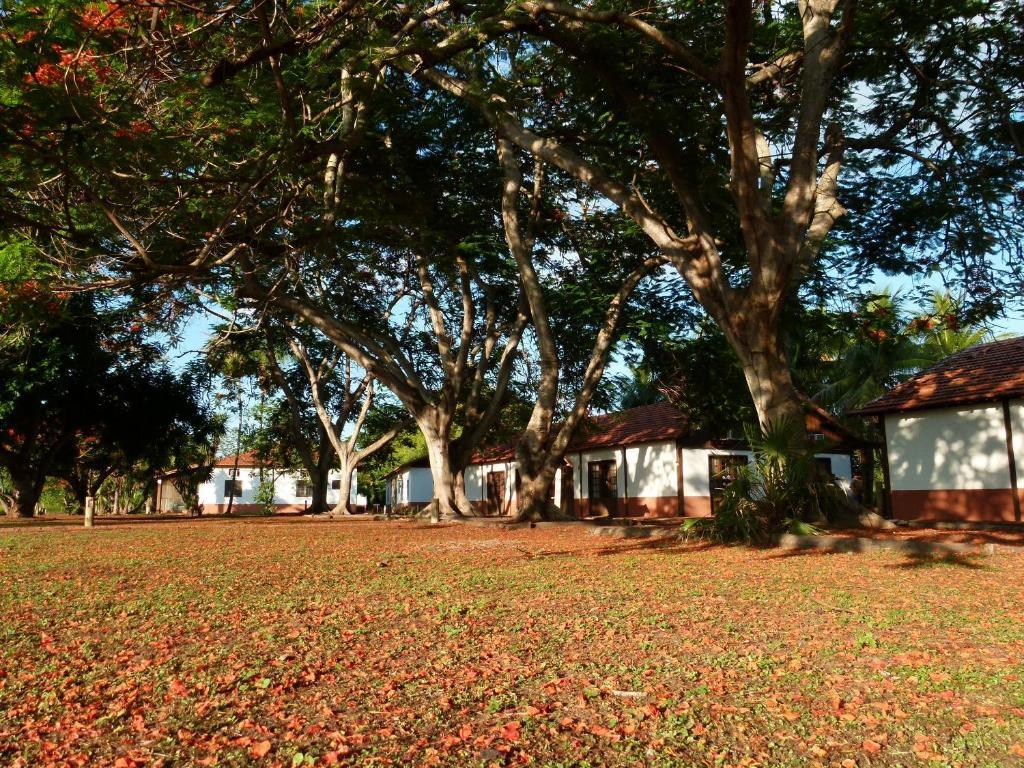 Pousada Fazenda Xaraes Todos os Santos 외부 사진